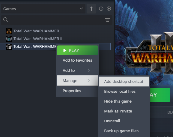 Steam Shortcut EN.png