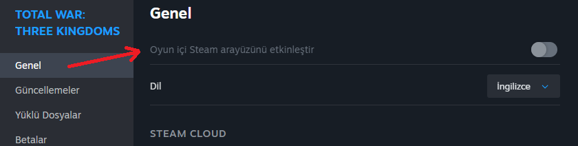 disable overlay turkish.png