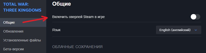 disable overlay russian.jpg